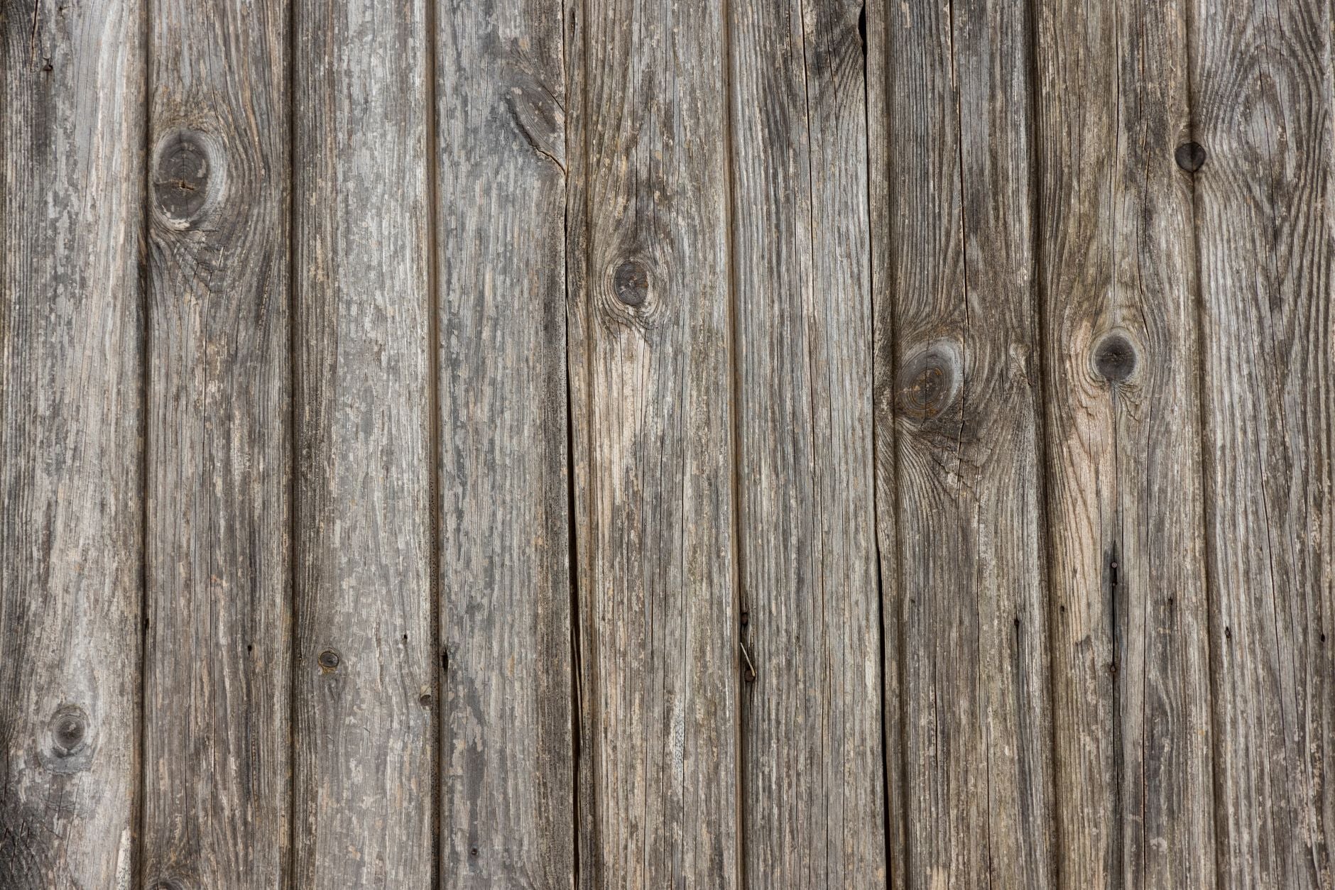 Close-up of a rustic wooden surface showcasing natural grain and texture, ideal for backgrounds or patterns.