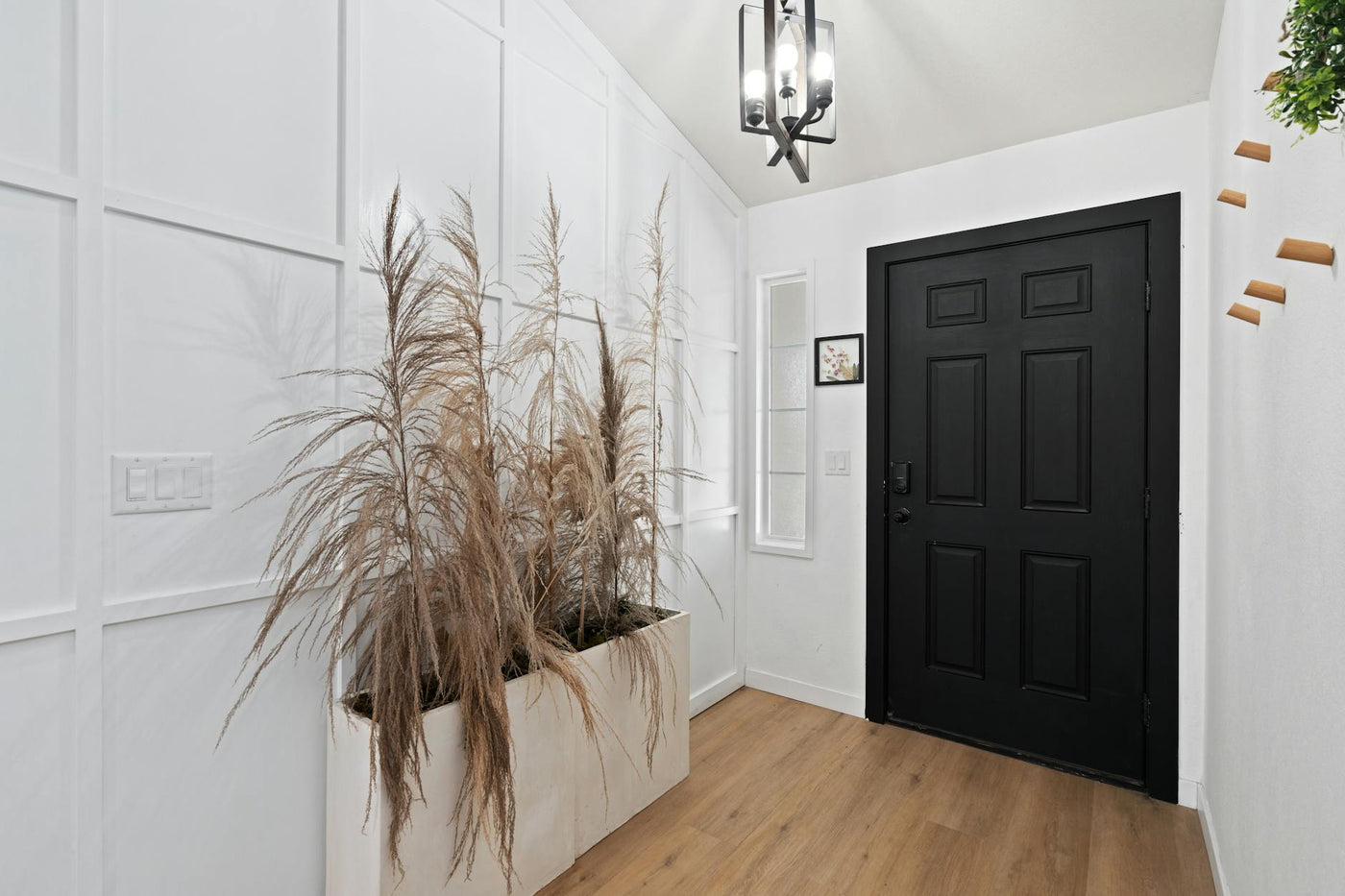 Stylish entrance with minimalist decor and modern design featuring a black door.