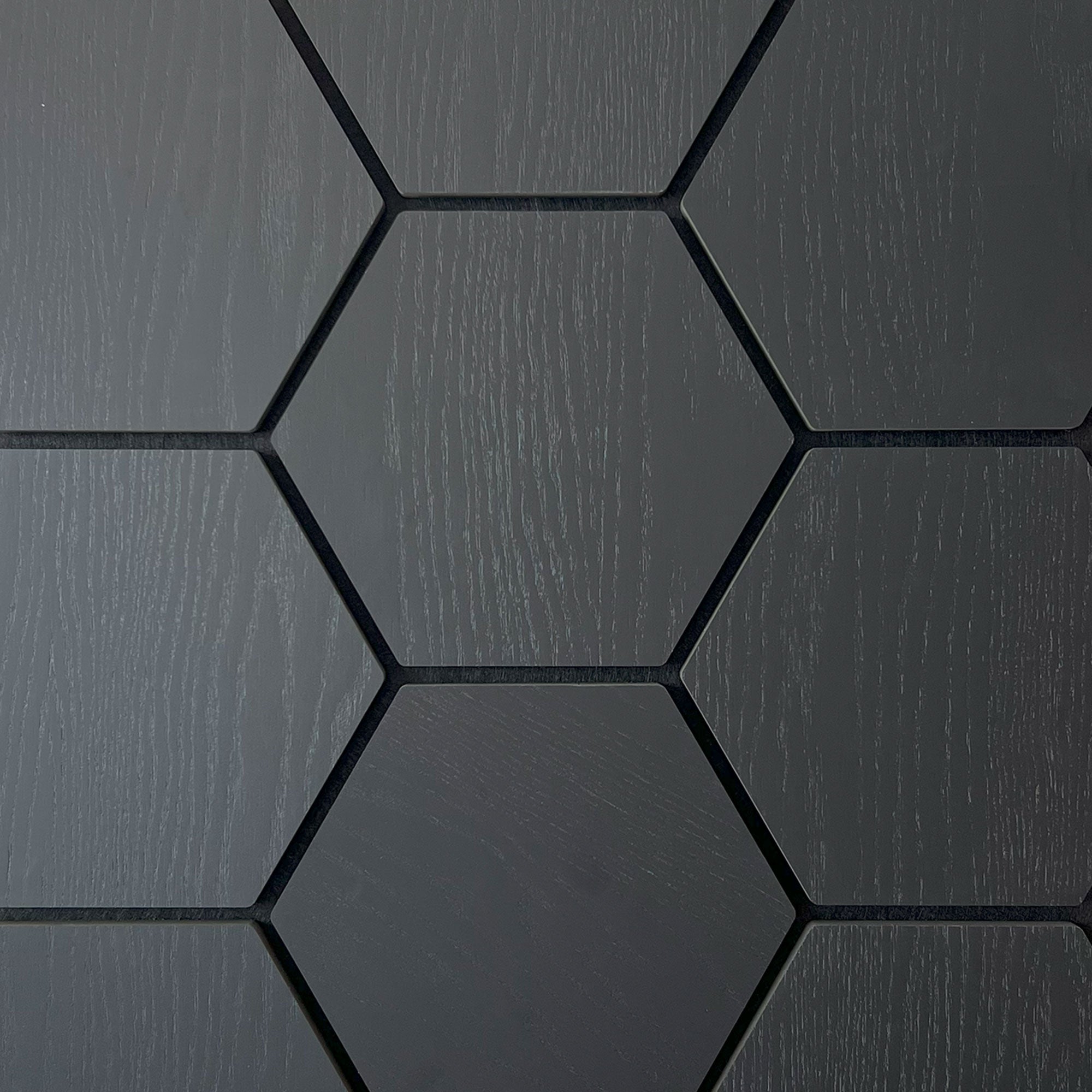 Sample - Hexagon Panel Black